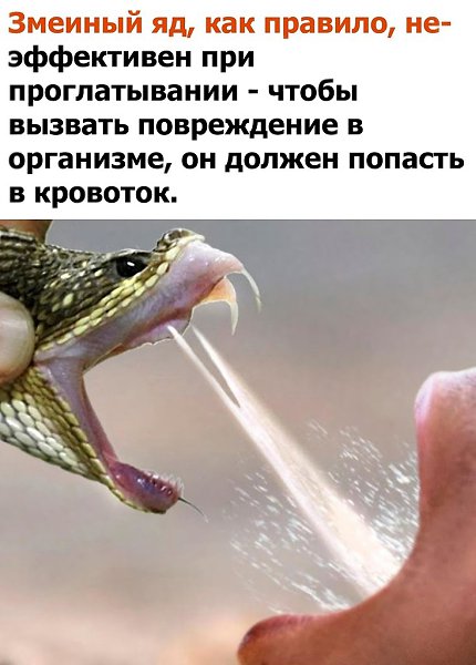 �� �������� ����������
