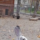 ���� ������, ����-���������, 49 ��� - ��������� 17 ������ 2023 � ������ ���� ����������