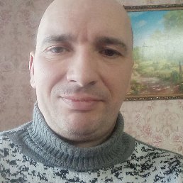 �����, �����-���������, 43 ����