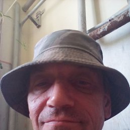 , 53 , 
