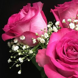 ��������, ������, 48 ���