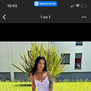 , 33 , 