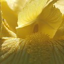 ���� ������, ���� - ��������� 16 ��� 2025 � ������ ��������� ����...�