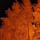 ���� �����(����)., ������, 43 ���� - ��������� 16 ���� 2024
