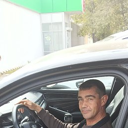 ������, ������, 46 ���