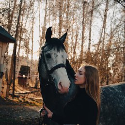 ������, ������, 31 ���