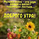 ���� ���������, ������-��-����, 66 ��� - ��������� 24 �������� 2025 � ������ ������ ��������
