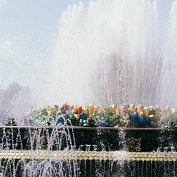 �����, ������, 24 ����