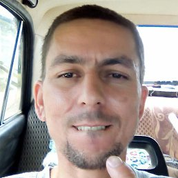 ������, ������, 41 ���