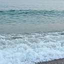 ���� ��������, ���������, 51 ��� - ��������� 29 ���� 2025 � ������ ���� ����������