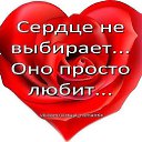 ���� �������� ����, ������ �����, 63 ���� - ��������� 8 ����� 2025 � ������ ������ ��������