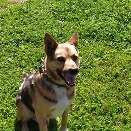 �������, ������, 38 ���