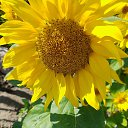 ���� �������, ������, 46 ��� - ��������� 25 ������� 2025 � ������ ���� ����������