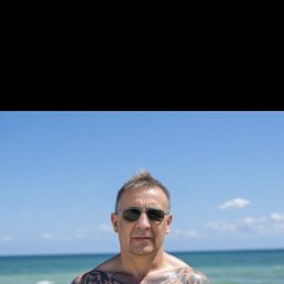 , 54 , -