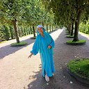  ,  -  5  2025       ,    ,     .