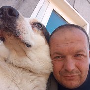 ����, 38 ���, ������