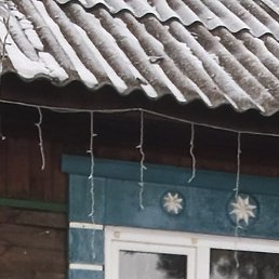 �������, ���������, 41 ���