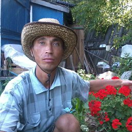 ������, 50 ���, ���