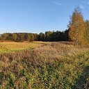 ���� ��������, ������, 49 ��� - ��������� 7 ������� 2026