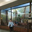 ���� �������, ����������, 38 ��� - ��������� 15 ����� 2026