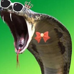 ���� ������ ��������, ���������, 67 ��� - ��������� 29 ������� 2024