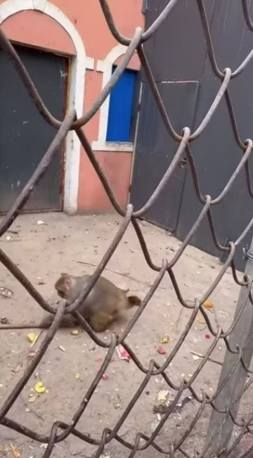 �������� - ����� ��������� ��������. - 2