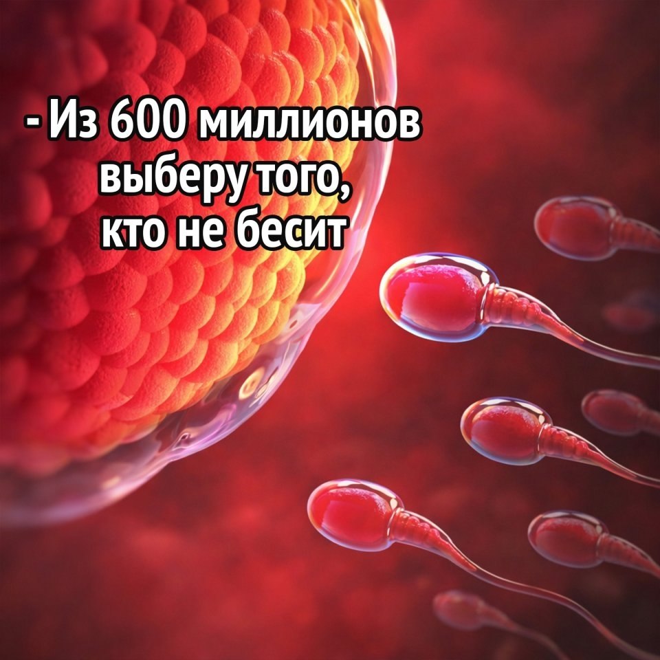�� ������ �����, � ������� �������: ������ ��������, ��� ���������� ���� �������� ������������. ���� ... - 2