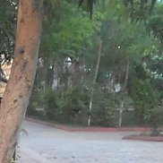 ����, 46 ���, �������� �����