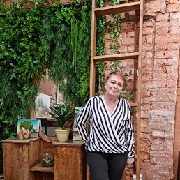 ���� ������, �����-���������, 65 ��� - ��������� 26 ������ 2023