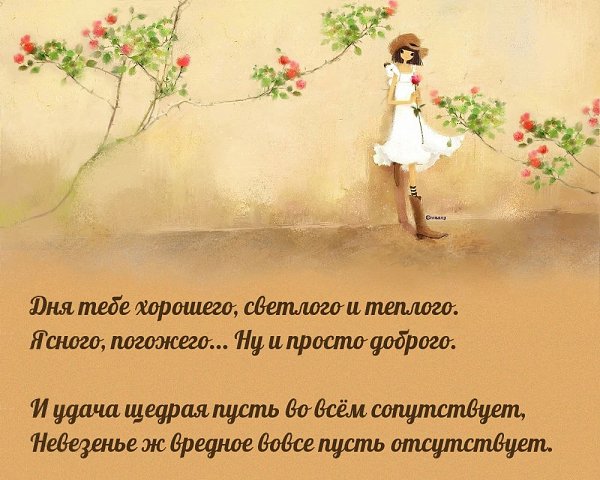 ����������� � ���������, �������� �� ������ ����. - 13 ������ 2024 � 14:24