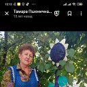 ���� ������, ������-��-����, 70 ��� - ��������� 18 �������� 2024 � ������ ���� ����������