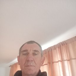 �����, 48 ���, ���������