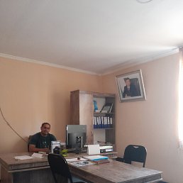 , 33, 