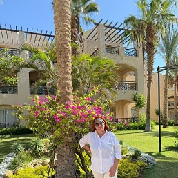 ���� ������, ������, 55 ��� - ��������� 17 ������� 2026