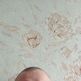 , 47,  