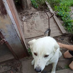 ���� Balerik, ������, 91 ��� - ��������� 5 �������� 2024