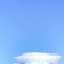 ������, �������������-����������, 47 ���