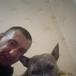 �������, ������, 43 ����