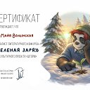 ���� ***������ -���� ***, ����������, 40 ��� - ��������� 9 ����� 2026 � ������ ���� ������� !!!�