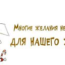 ���� ������, �����-��������� - ��������� 6 ������ 2026 � ������ ������ ��������