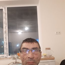 , 52, 