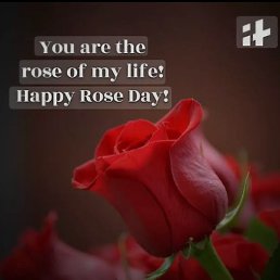 Sonu, �����������, 22 ����