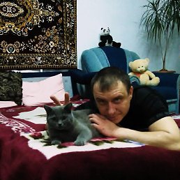 ������, ���������, 44 ����