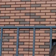 �����, 39 ���, ����