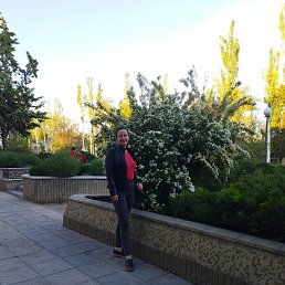 , 44, 