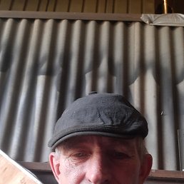 , 46, 