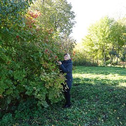 ��������, ��������, 63 ����