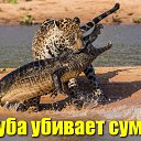 ���� ����������, ���������, 59 ��� - ��������� 22 ���� 2026 � ������ ������ ��������