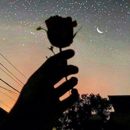 ���� ��������, ����-���, 25 ��� - ��������� 30 ����� 2026