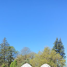 �����, 24 ����, ����-���